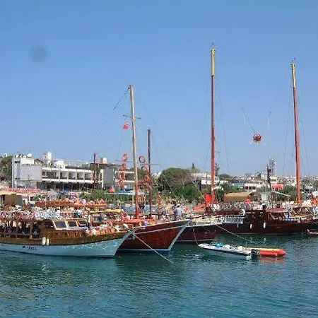 Didyma House